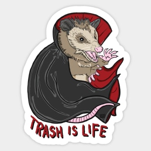 Trash is Life Possum Sticker